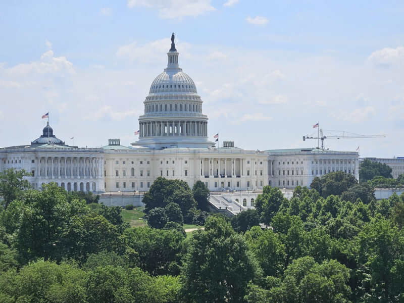 Katherine Lobbies for Change at the Federal Level